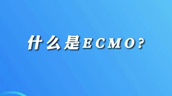 【名医面对面之心脏100问】什么是ECMO？