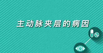 【名医面对面之心脏100问】主动脉夹层的病因